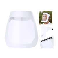 VISIERA PET E CARTONE LAMINATO